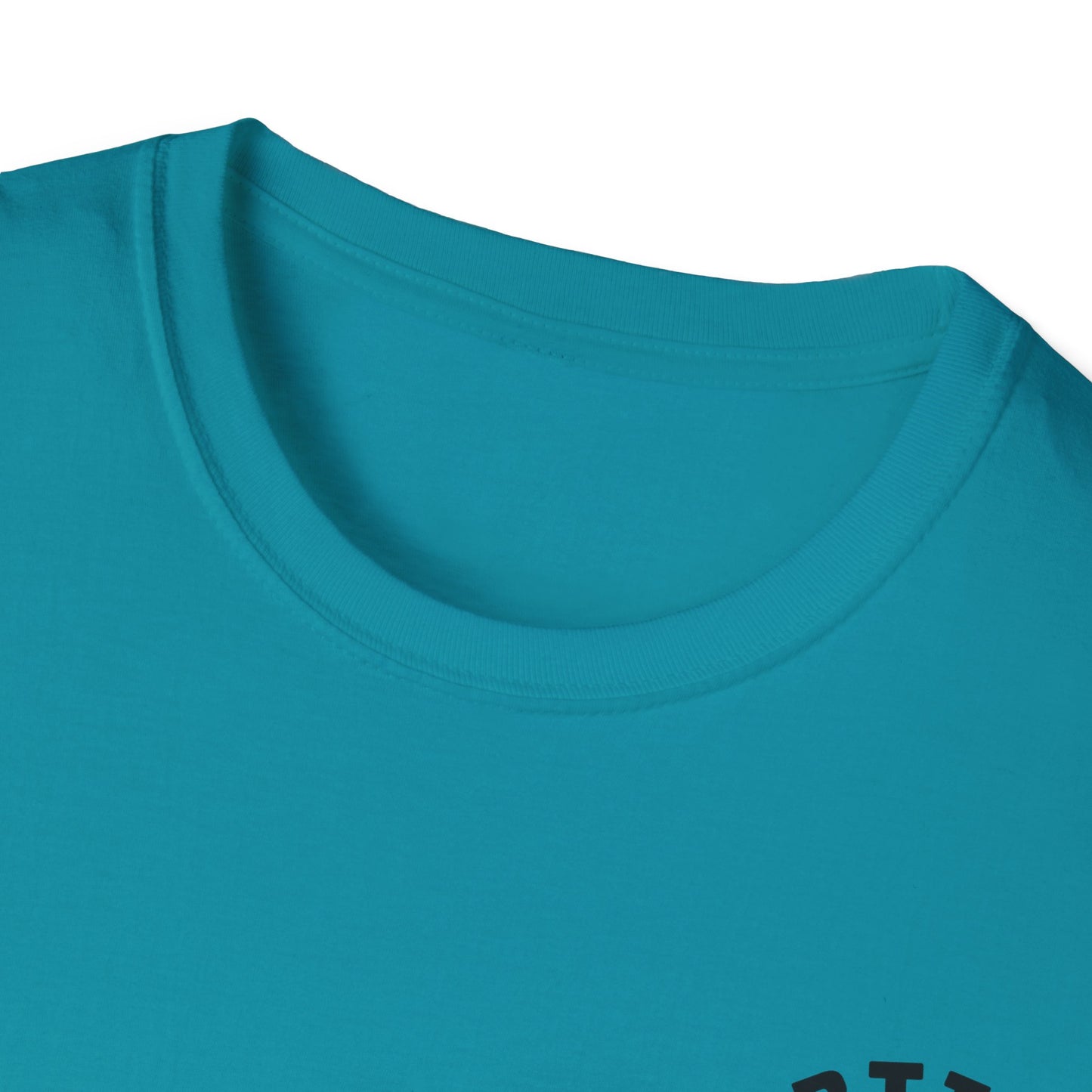 Certified Maid T-Shirt